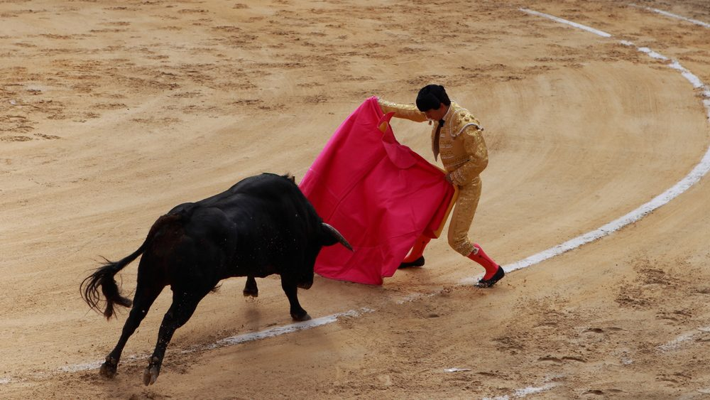 bullfighting